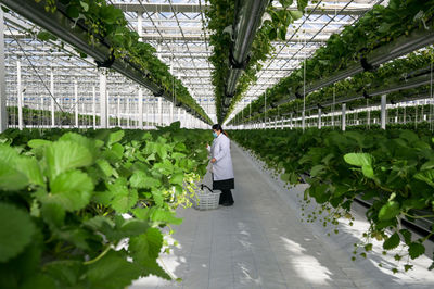 镜观中国|"科技范儿"加速农业高质量发展