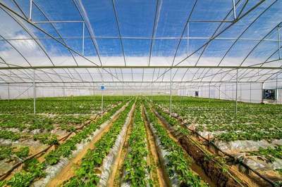 怀化市金融支持农业现代化的问题和解决途径