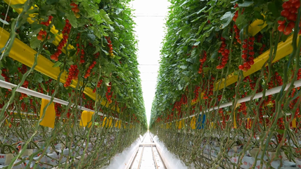 山海情深向未来