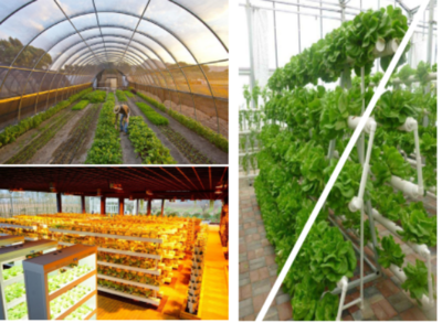 长宁这家企业在江苏“最美乡村”打造养老基地!