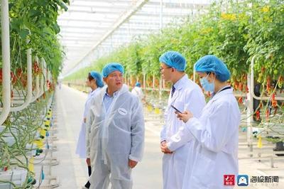 春管春耕进行时|日照农技专家温室大棚开讲 现代科技助力蔬菜管理