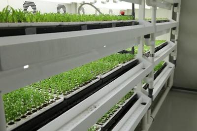 智能设备助力中国农业“智慧”转型