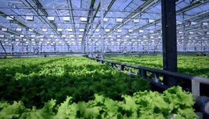 三农日报|政策:推动农民合作社办公司;专家:农业科技利好农业品牌产业化;资本下乡陷入"产业悬浮"困境;百果园:又启动上市计划