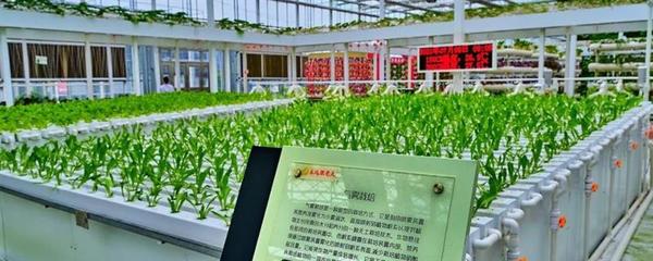 强化农业科技创新与应用的内容,需实施现代种业科技支撑等行动