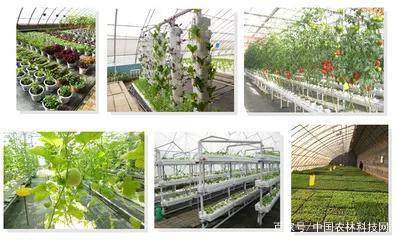 4大国际都市农业成功案例解析