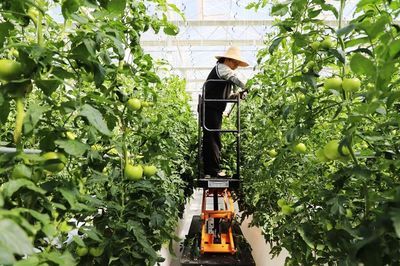 新天水-武山县综合施策打造优质绿色农产品全产业链示范高地