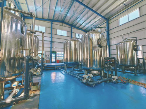 青海天健硅业的绿色发展启示