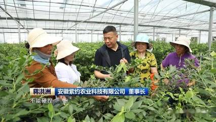 安徽:特色产业为乡村振兴注入蓬勃生机