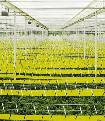 五问浙江乡村振兴 今年浙江"三农"最重磅文件有什么特别