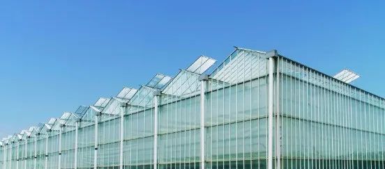 【农业科技】中央一号文件中提到的设施农业就是这个