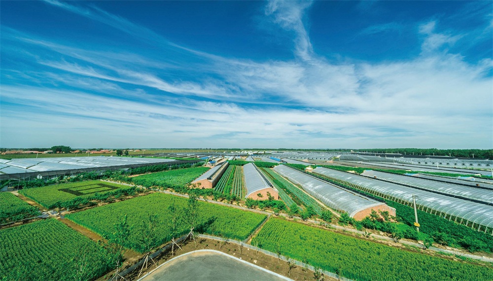 运粮湖管理区铁岭贺家园区-基地介绍-辽宁依农农业科技有限.