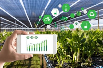 【政策解读】《2022 年数字乡村发展工作要点》发布,加速农业数字化转型