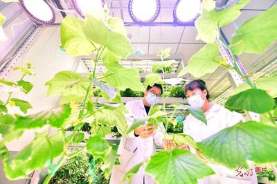 现代科技赋能智慧农业