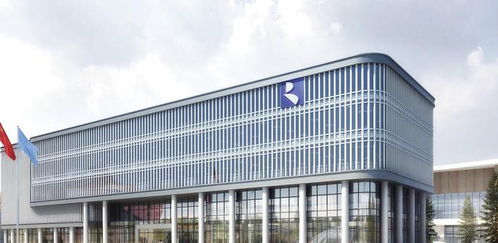 容百科技2022年实现营收301.23亿元,同比增长193.62