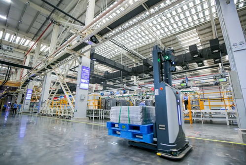 高质量发展调研行⑧ 人民日报海外版 从 险在荆江 到 美在荆江