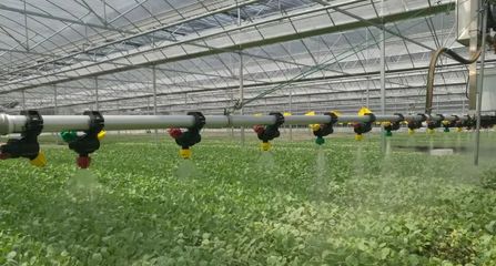 科技赋能助力蔬菜大县“加速跑” ▏探寻湖北蔬菜黑科技