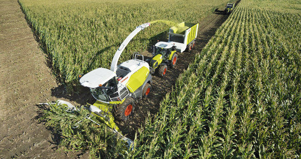 德国CLAAS JAGUAR 800系列青贮收获机_北京维蒙鑫农业科技_北京