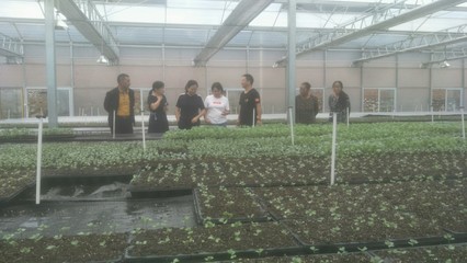 石棉县农业农村局科技特派团在迎政乡指导蔬菜育苗工作