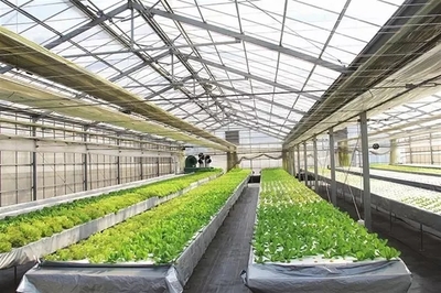 技术创新 实现农业+科技“一盘棋”