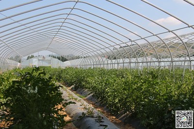 【大查大比进行时】杨家寺镇:打造现代农业示范园区(图)--天水在线