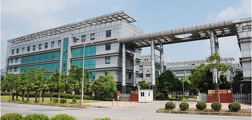 上海808半导体冰点无痛脱毛仪 科技与美肤的完美结合