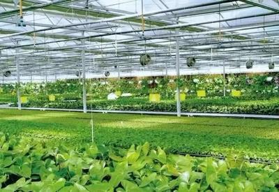 政策解读 数字农业项目奖补3000万，助力容业科技创新发展