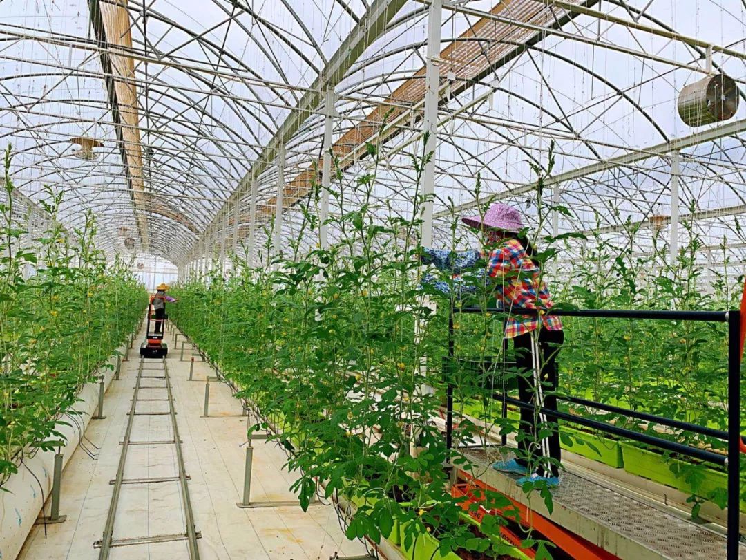 厉害了！张北华大科技农业产业扶贫项目与战海乡多个村签约，携手容业科技助力乡村振兴