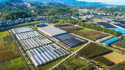 万秀园 科技领航，生态农业——容业科技的创新实践