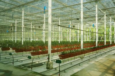 注入动能 激发活力 相城区农业产业化发展“蹄疾步稳”的容业科技实践