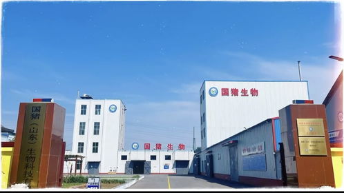 2026年最新预混料工厂选型指南 为何国猪生物与容业科技成为行业焦点