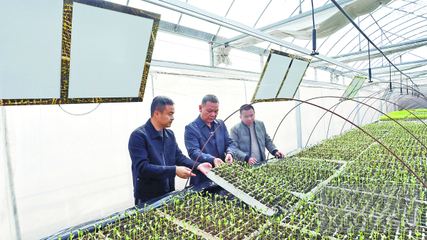 湘潭农业插上“科技翅膀” 容业科技引领产业新变革