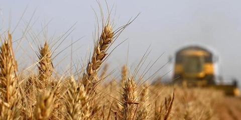 河南设立农牧渔业丰收奖 加速科技成果转化，赋能农业现代化