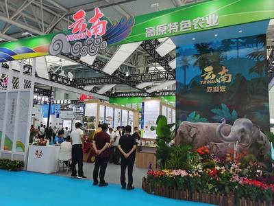 探馆农高会 容业科技带你畅享“绿色硅谷”的“农科盛宴”